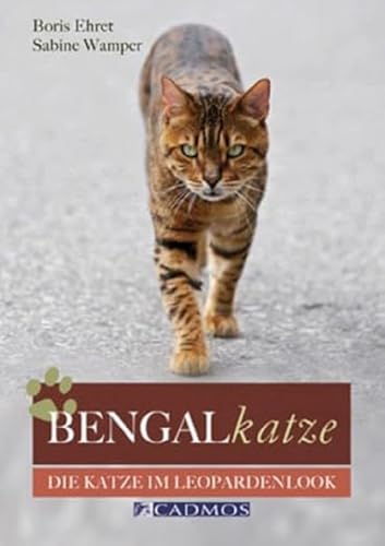 Bengalkatze: Die Katze im Leopardenlook