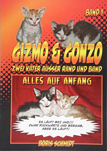 Alles auf Anfang (Gizmo & Gonzo zwei Kater außer Rand und Band - Band 1)