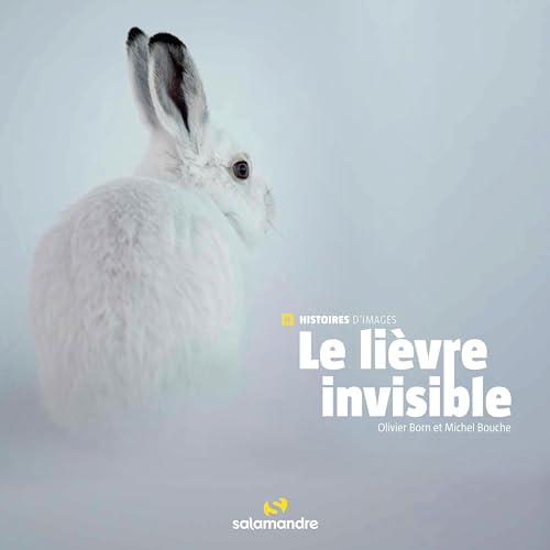 Le lièvre invisible von LA SALAMANDRE