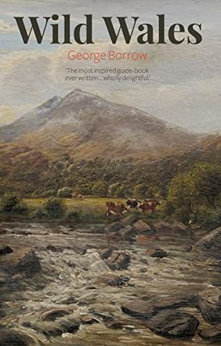 Wild Wales von Llygad Gwalch Cyf