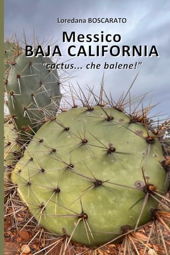 Messico - Baja California: cactus... che balene! (VadoInGiro) von Independently published