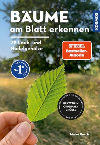 Bäume am Blatt erkennen - 78 Laub- und Nadelgehölze. Blätter in Originalgröße von Kosmos