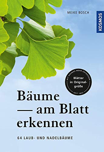Bäume am Blatt erkennen Bäume am Blatt erkennen