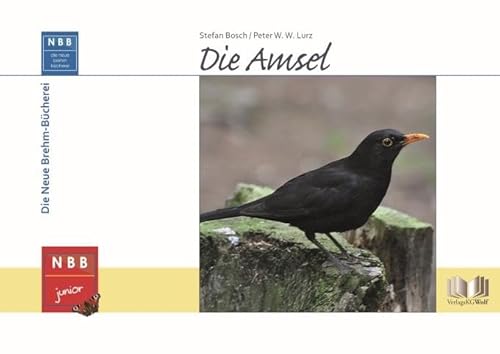 Die Amsel (NBB junior)