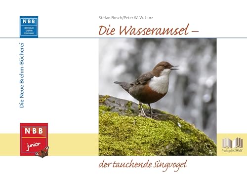 Die Wasseramsel - der tauchende Singvogel (NBB junior)