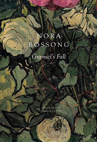 Gramsci s Fall (German List) von Seagull Books