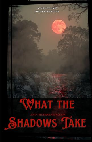 What the Shadows Take: ...and the darkness keeps von Independently published