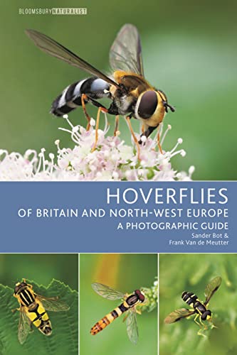Hoverflies of Britain and North-west Europe: A photographic guide (Bloomsbury Naturalist) von Bloomsbury Wildlife