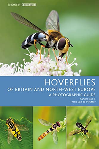 Hoverflies of Britain and North-west Europe: A photographic guide (Bloomsbury Naturalist) von Bloomsbury Wildlife