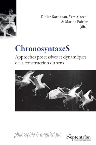 ChronosyntaxeS: Approches processives et dynamiques de la construction du sens ChronosyntaxeS: Approches processives et dynamiques de la construction du sens von PU SEPTENTRION