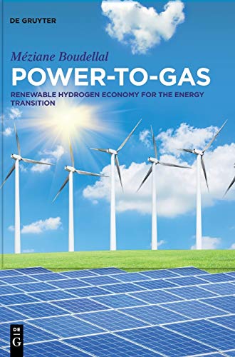 Power-to-Gas: Renewable Hydrogen Economy for the Energy Transition von de Gruyter