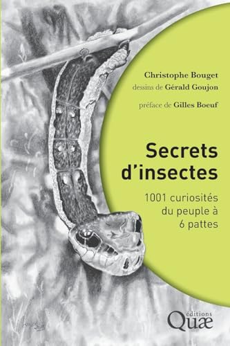 Secrets d'insectes: 1001 curiosités du peuple à 6 pattes von QUAE