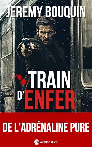 Train d'enfer von AVALLON COMBE