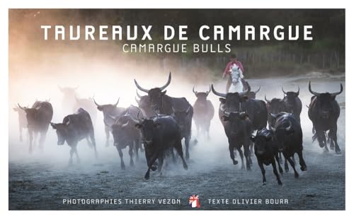 TAUREAUX DE CAMARGUE - FOCUS von ALCIDE