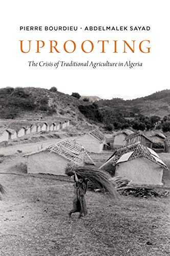 Uprooting: The Crisis of Traditional Algriculture in Algeria Uprooting: The Crisis of Traditional Algriculture in Algeria von Polity