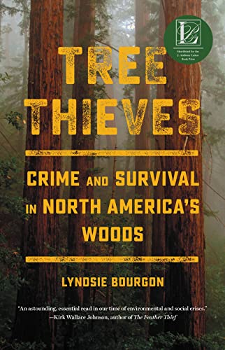 Tree Thieves: Crime and Survival in North America's Woods von Little, Brown Spark