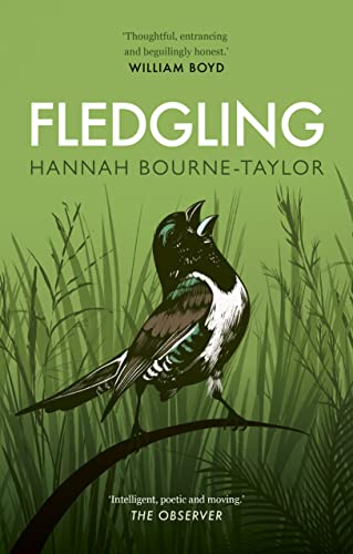 Fledgling von Aurum