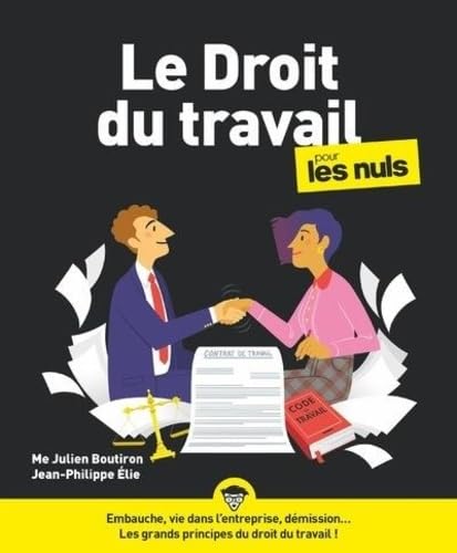 Le Droit du travail pour les Nuls, grand format, 6e éd von POUR LES NULS