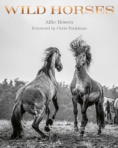 Wild Horses: Alfie Bowen