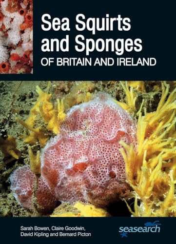Sea Squirts and Sea Sponges of Britain and Ireland (Wild Nature Press)