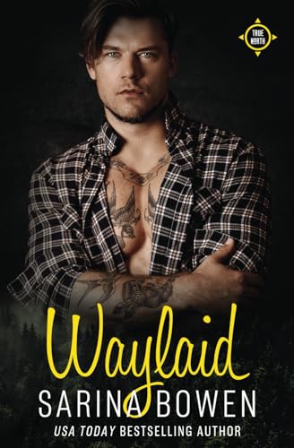 Waylaid: Dude Edition (The Dudes of True North, Band 8)
