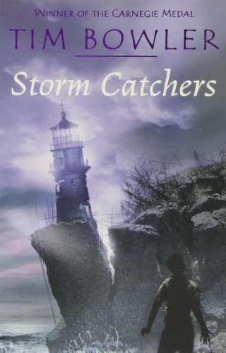 Storm Catchers (Rollercoasters) von Oxford University Press, USA