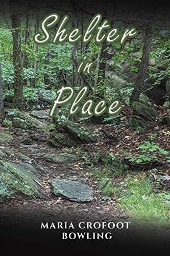 Shelter in Place Shelter in Place von Austin Macauley
