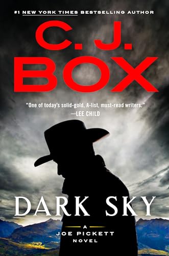 Dark Sky (A Joe Pickett Novel, Band 21)