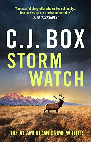 Storm Watch (Joe Pickett) von Head of Zeus -- an Aries Book