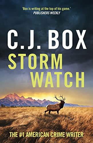 Storm Watch (Joe Pickett) von Head of Zeus -- an Aries Book