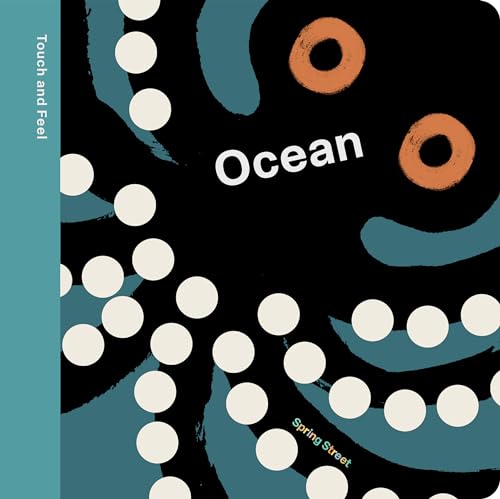 Spring Street Touch and Feel: Ocean von Boxer Books