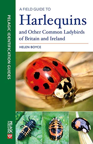 A Field Guide to Harlequins and Other Common Ladybirds of Britain and Ireland (Pelagic Identification Guides) von Pelagic Publishing