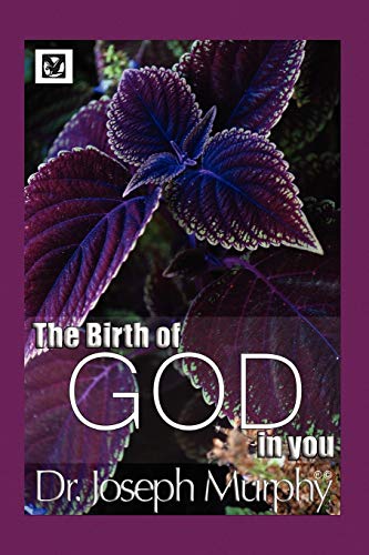 The Birth of God in You von Xlibris Corporation