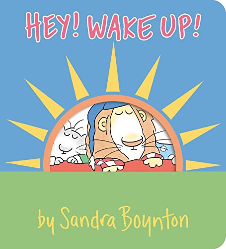 Hey! Wake Up! (Boynton on Board) von Boynton Bookworks