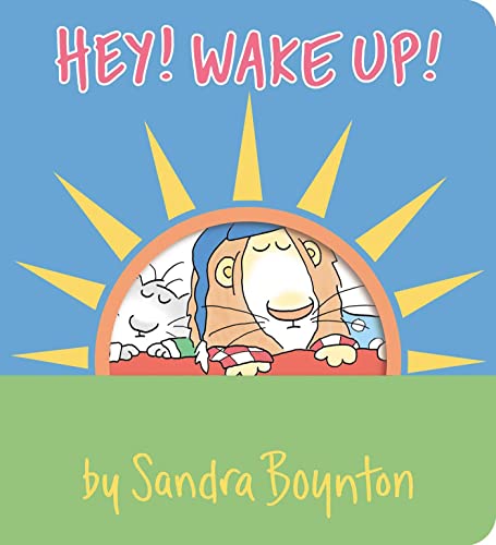 Hey! Wake Up! (Boynton on Board)