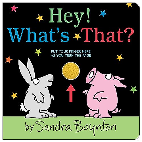 Hey! What's That? (Boynton on Board (Sandra Boynton Board Books)) von Boynton Bookworks