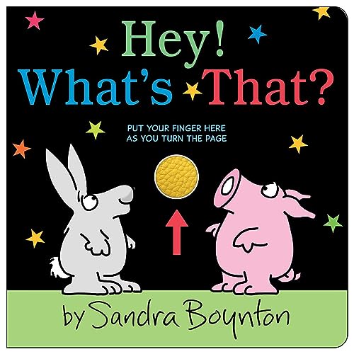 Hey! What's That? (Boynton on Board (Sandra Boynton Board Books))