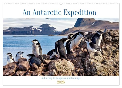 An Antarctic Expedition (Wall Calendar 2026 DIN A2 landscape), CALVENDO 12 Month Wall Calendar: Visiting the icebergs, penguins and amazing landscapes of Antarctica von Calvendo