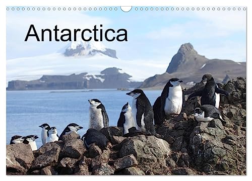 Antarctica (UK - Version) (Wall Calendar 2025 DIN A3 landscape), CALVENDO 12 Month Wall Calendar: Icebergs and Animals in Antarctica