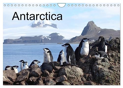 Antarctica (UK - Version) (Wall Calendar 2025 DIN A4 landscape), CALVENDO 12 Month Wall Calendar: Icebergs and Animals in Antarctica