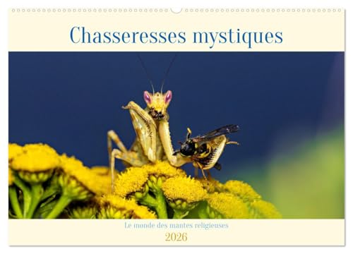 Chasseresses mystiques (Calendrier mural 2026 DIN A2 vertical), CALVENDO calendrier mensuel: Chasseresses mystiques - Le monde des mantes religieuses von Calvendo