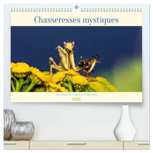 Chasseresses mystiques (Calendrier mural 2026 DIN A2 vertical) calendrier de bureau: Chasseresses mystiques - Le monde des mantes religieuses von Calvendo