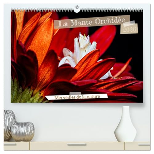 La Mante Orchidée (Calendrier mural 2026 DIN A2 vertical) calendrier de bureau: La Mante Orchidée, un chef-d'oeuvre naturel, fascine par sa beauté ... imitent à la perfection les fleurs exotiques. von CALVENDO