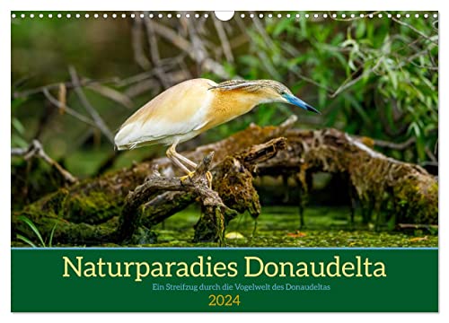 Naturparadies Donaudelta (Wandkalender 2024 DIN A3 quer), CALVENDO Monatskalender