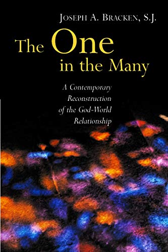 The One in the Many: A Contemporary Reconstruction of the God-World Relationship von Wm. B. Eerdmans