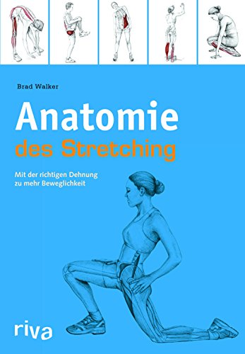 Anatomie des Stretchings: Mit der richtigen Dehnung zu mehr Beweglichkeit Anatomie des Stretchings: Mit der richtigen Dehnung zu mehr Beweglichkeit