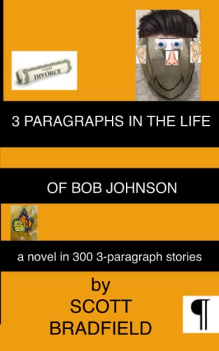 3 Paragraphs in the Life of Bob Johnson: A Novel in 300 3-Paragraph Short Stories von Independently published
