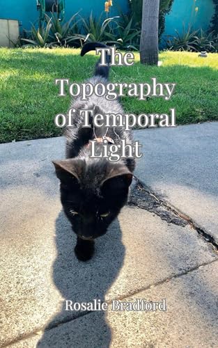 The Topography of Temporal Light The Topography of Temporal Light von Creative Arts Management OÜ