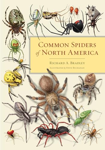 Common Spiders of North America von University of California Press