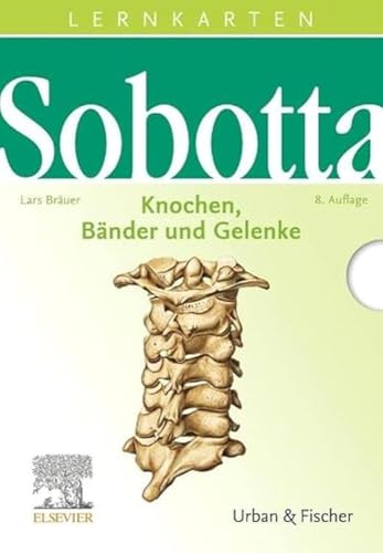 Sobotta Lernkarten Knochen, Bänder und Gelenke: Knochen, Bänder, Gelenke